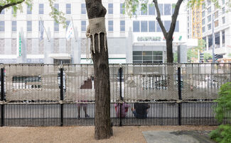 Woven and braided rope wrapped around a tree. 