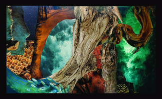 Brown and blue-hued collage with imagery of nature by Valerie Xanos. 