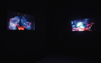 Two projections of colorful, abstract, organic shapes against a black background by Valerie Xanos. 