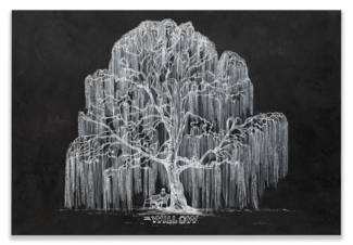 Painting by Lora Fosberg of a white willow tree on a black background. 