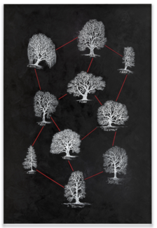 Painting by Lora Fosberg of varying trees connected by red lines. 