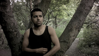 A screenshot from the film The Magic Hedge.