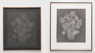 Two pictures of grey and white flowers hanging side by side.