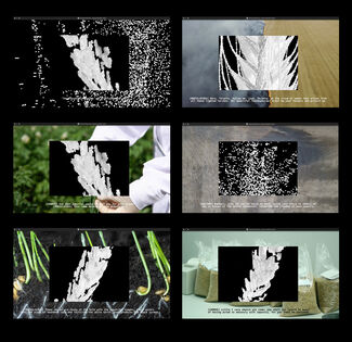 Six stills of black and white abstract image atop colorful nature stills. 