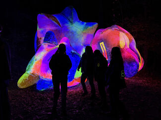 An inflatable structure lit up with neon lights against a black background.