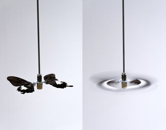 A hanging fan with blades that resemble butterfly wings. 