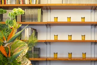 Nine jars of preserved lemons on shelves filled with books. 