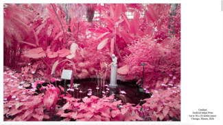 Artwork in pink and white tones by Kyle S. Dunn.