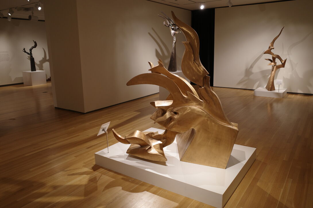 Gallery view of Richard Hunt’s abstract bronze sculptures displayed on white platforms in a museum with wooden floors and spotlighting, featuring dynamic, flame-like forms casting dramatic shadows on the walls.