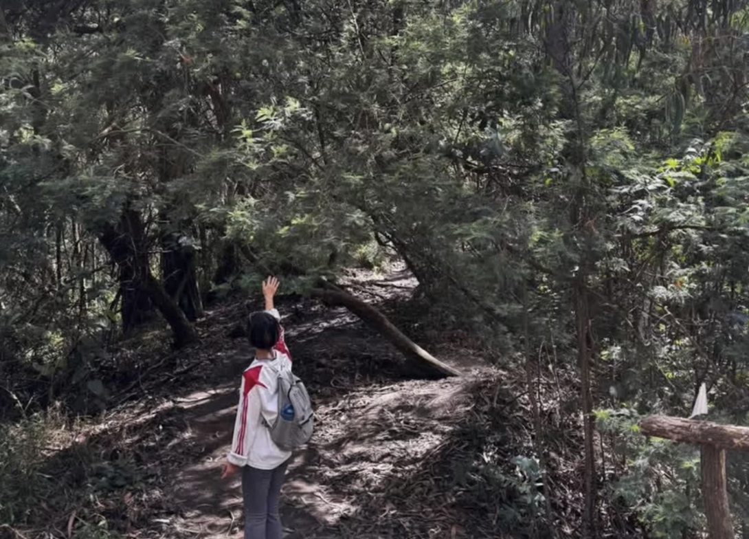 Shu hikes along a shaded forest trail outside Bogotá, raising one arm toward the tree canopy during a break from the Voltaje Art and Technology Salon.