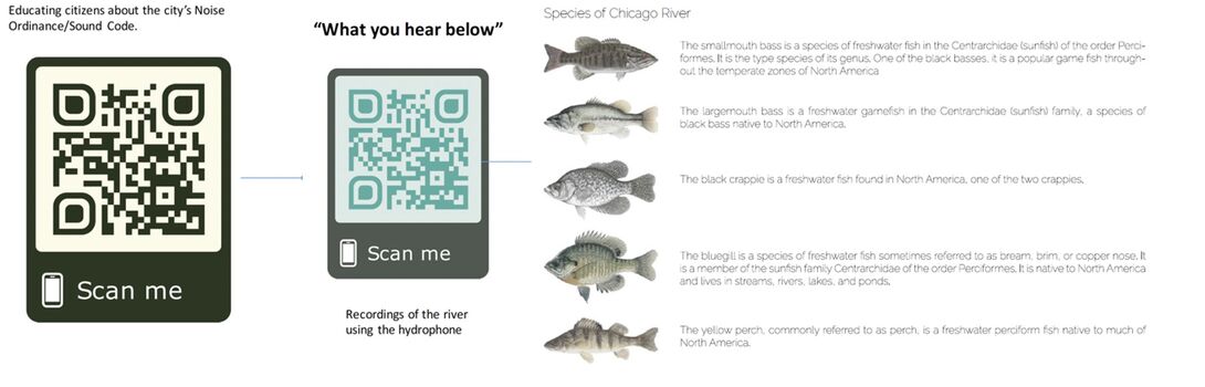 Rendering of Ordinance Sound Code QR code and App and Fish Species of the Chicago River