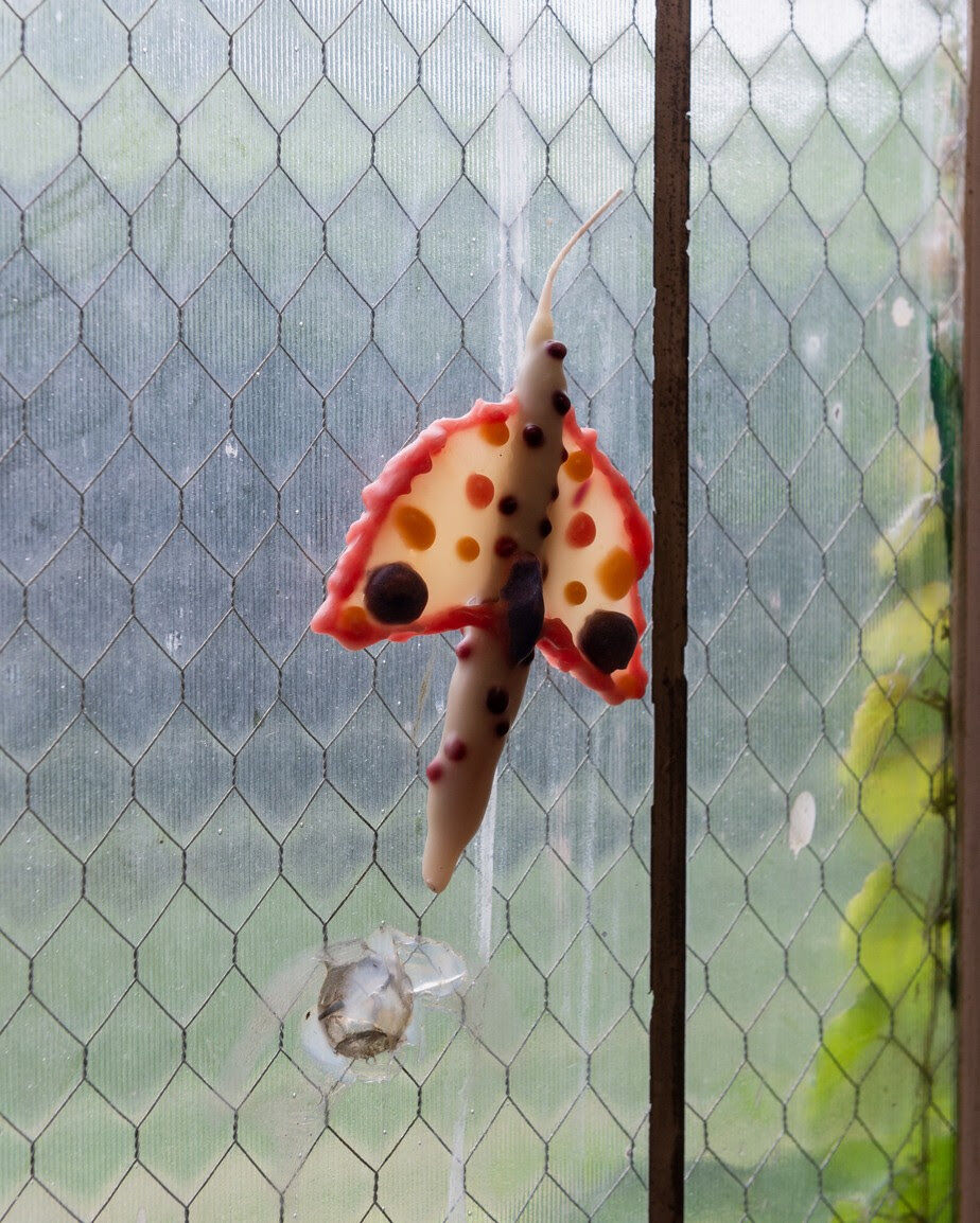 A moth-shaped candle is pressed against a window screen